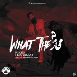 Pooria Fereydooni  –   What The Fazz